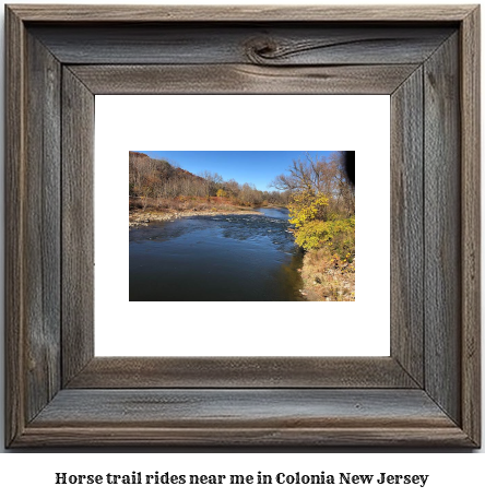 horse trail rides near me in Colonia, New Jersey